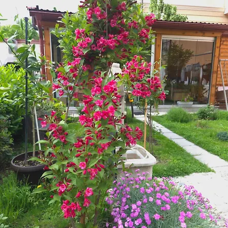 Bosnian Secret Apartment- Free Parking Apartamento Saraievo