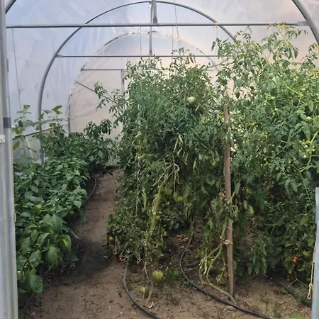 Bosnian Secret Apartment- Free Parking Apartamento *